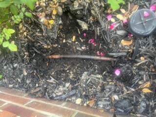 drip line repair