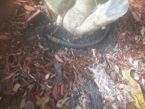 drip line repair near tree Frisco Tx
