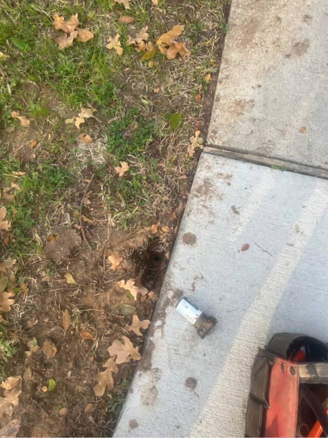 broken sprinkler head near sidewalk