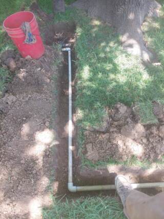 reroute main sprinkler line around tree
