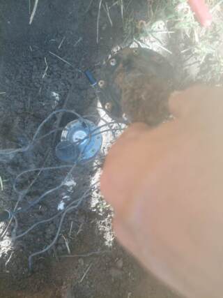 irritrol valve rebuild