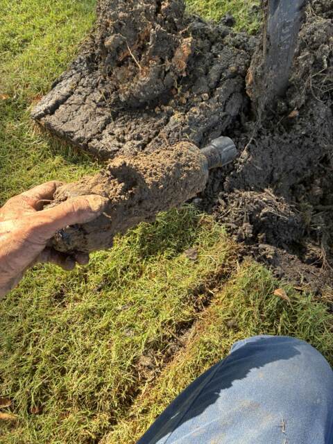 broken sprinkler head repaired