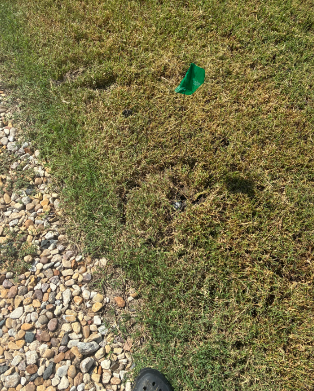 Sprinkler head repair and 26 zone check system