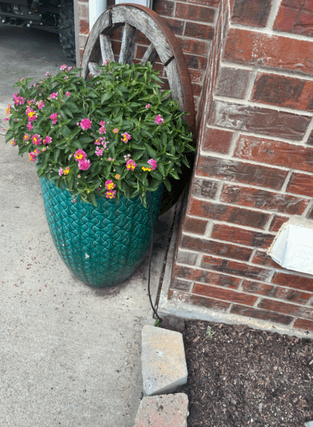 mirco heads to plant potters