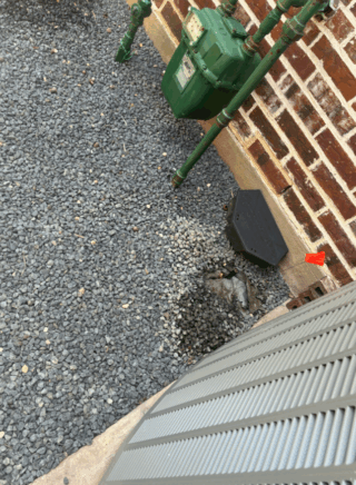 sprinkler heads capped
